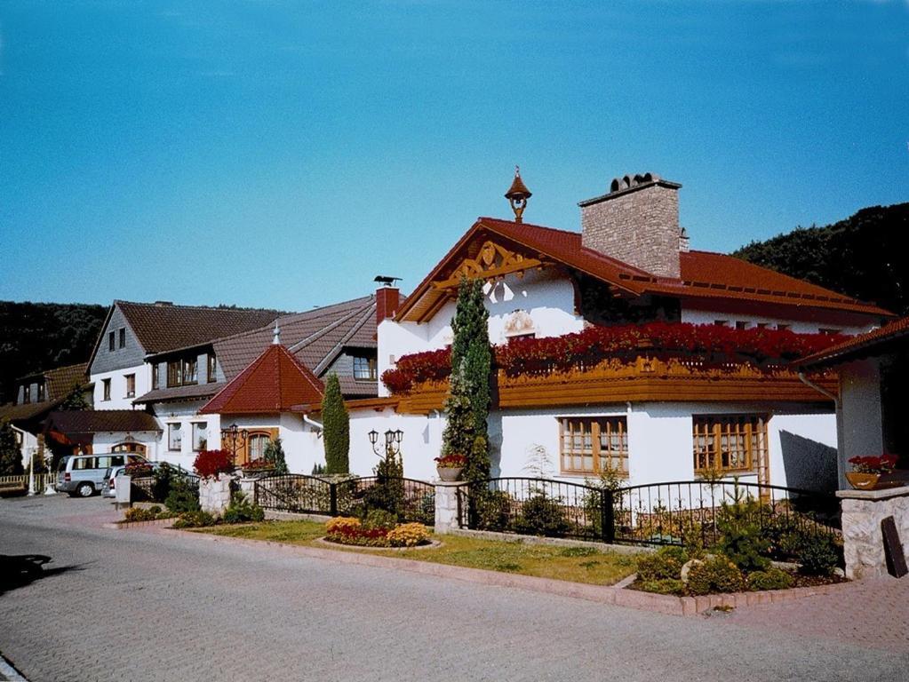 Hotel Muehlenberg Bad Sachsa Εξωτερικό φωτογραφία