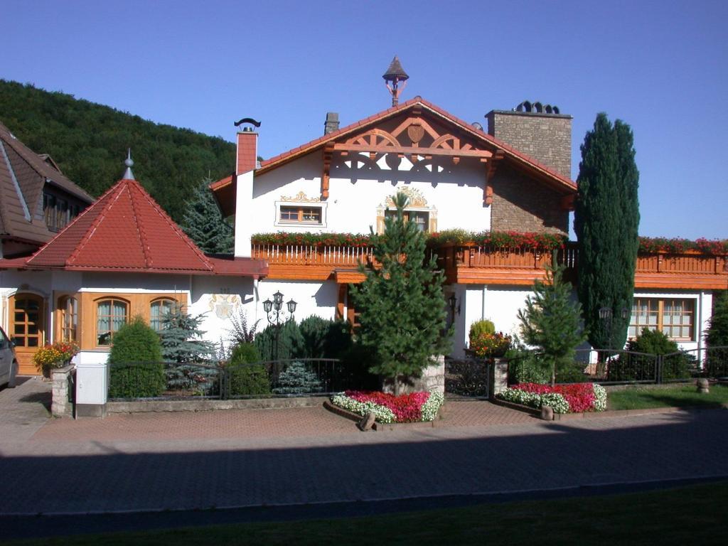 Hotel Muehlenberg Bad Sachsa Εξωτερικό φωτογραφία
